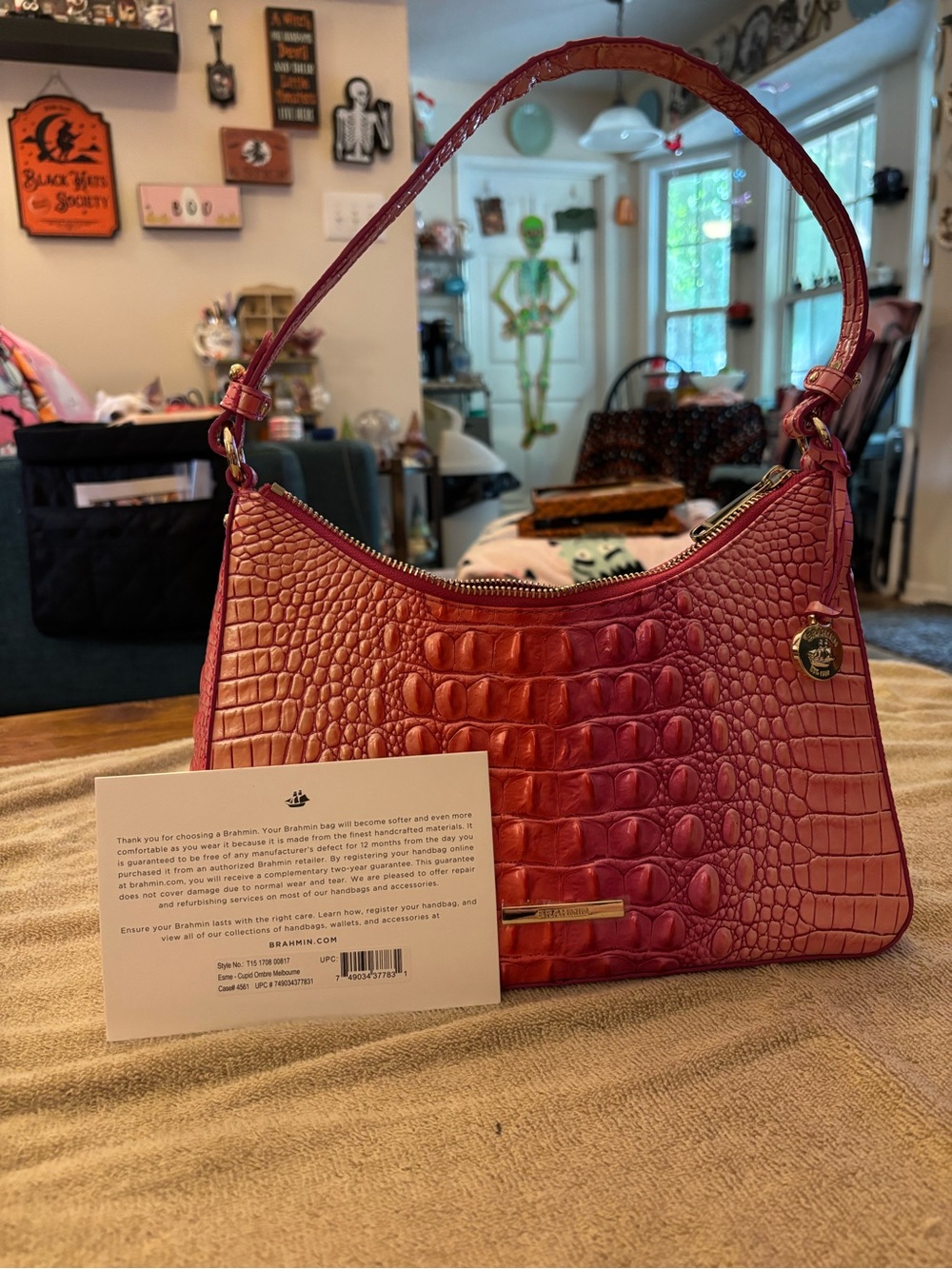 Brahmin Esme Cupid Ombré Melbourne Genuine Leather Shoulder Bag